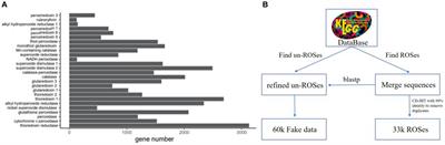 ROSes-FINDER: a multi-task deep learning framework for accurate prediction of microorganism reactive oxygen species scavenging enzymes